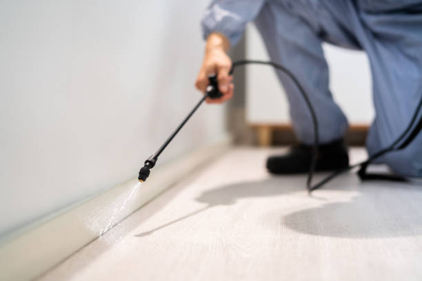 Licensed Termite Control service in DeLisle, MS - Nex Pest Control