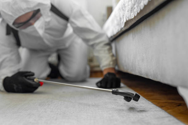 Professional Termite Control technician working in DeLisle, MS