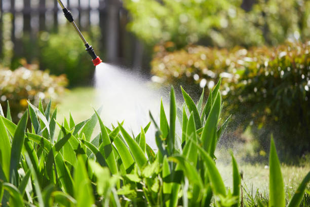 24/7 Emergency Termite Control experts in DeLisle, MS