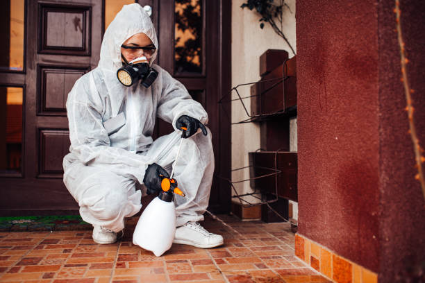 Reliable Termite Control contractor in DeLisle, MS by Nex Pest Control