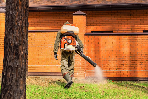 Trusted Cockroach Control service in DeLisle, MS - Nex Pest Control